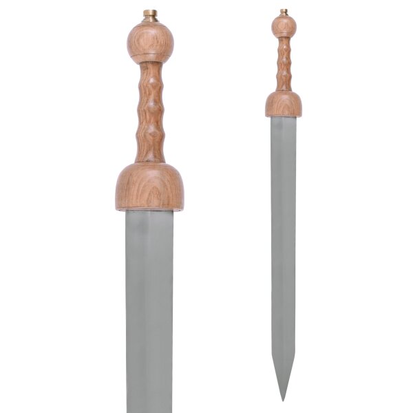 Gladius romain type Pompéi avec fourreau, 1er siècle