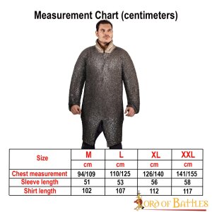 Cotte de mailles à manches longues, anneau plat Hauberk, riveté, ID 9 mm, acier nu