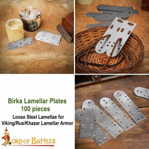 Birka Plaques à lamelles 100 pièces Plaquettes dacier en vrac Pour les armures à lamelles Les Vikings/Rus/Khazars