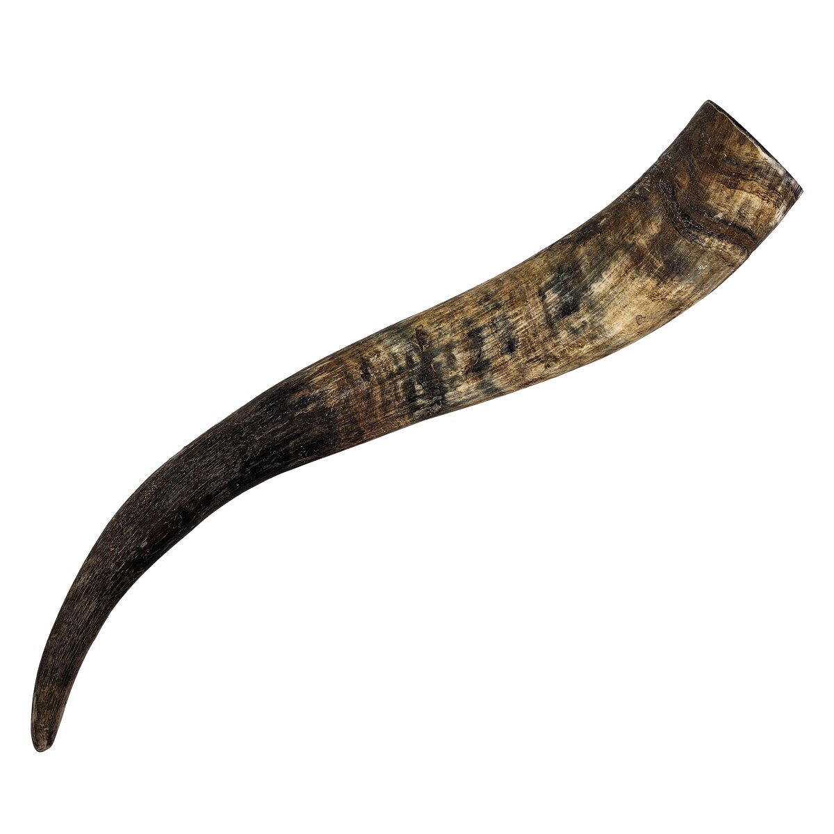 Drinking horn approx. 0.5 litre outside raw - Made in...